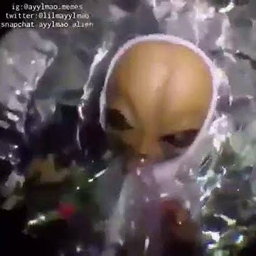 ayy lmao vine
